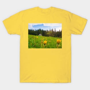 old house in the meadow T-Shirt